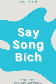 Say Song Bích